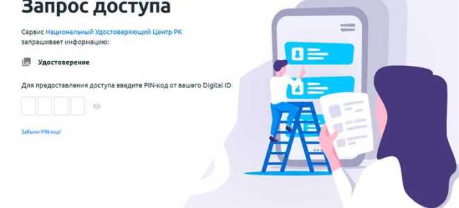 Сколько эцп может быть у физ лица