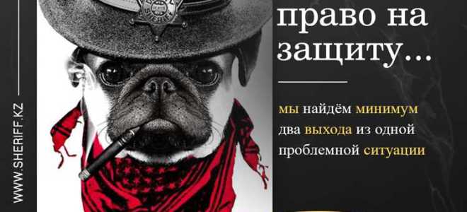 Какие процедуры применяются в деле о банкротстве гражданина