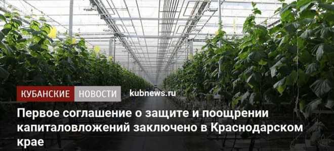 Соглашение о защите и поощрении капиталовложений сзпк что это