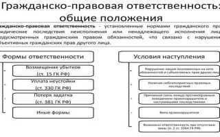После продажи ооо кто несет ответственность