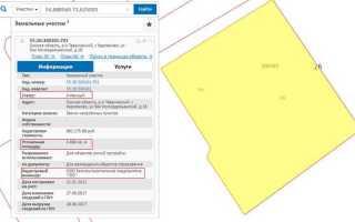 Сколько действительно межевание земельного участка