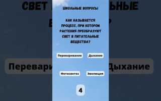 Какие вопросы могут быть разрешены на предварительном слушании тест