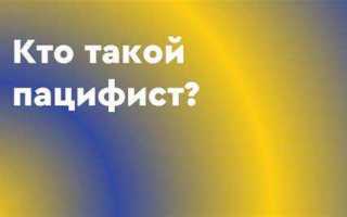 Процессуальная проверка что это простыми словами
