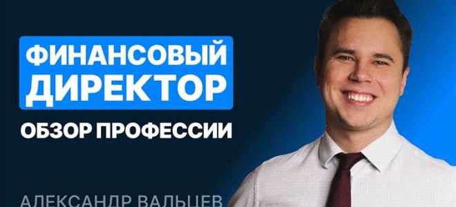 За что отвечает финансовый директор