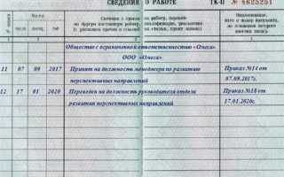 Какой документ является единственным свидетельством о трудовой деятельности работника