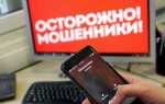 Почему государство не борется с телефонными мошенниками
