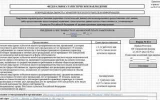 Отчет п4 в статистику кто должен сдавать