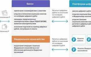 Как открыть счет цифрового рубля