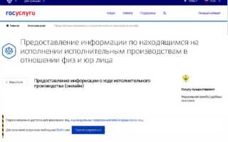 Как получить информацию о ходе исполнительного производства через госуслуги