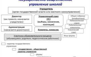 Массовый учредитель это сколько компаний