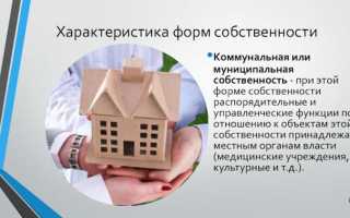 Что является нематериальным объектом права собственности