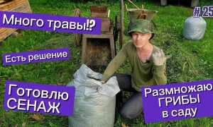 Что будет если найдут 1 грамм травы