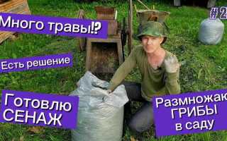 Что будет если найдут 1 грамм травы