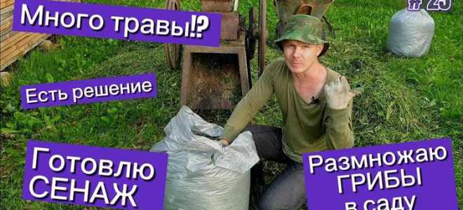 Что будет если найдут 1 грамм травы