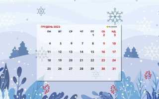 Как мы отдыхаем в декабре 2023