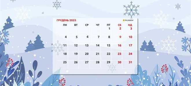 Как мы отдыхаем в декабре 2023