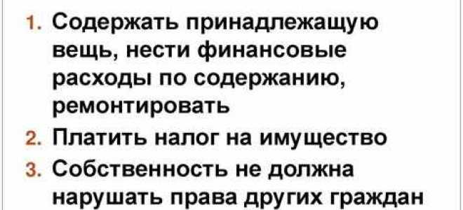 Владелец и собственник в чем разница