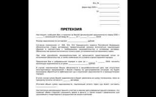 Какой срок указать в претензии для оплаты долга