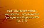 Что такое риск случайной гибели имущества