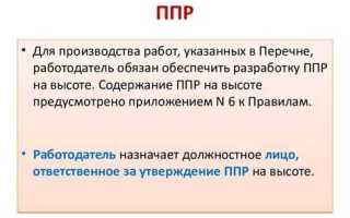 Ппр на основании чего разрабатывается