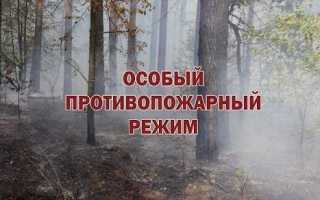 Что содержит правила противопожарного режима ответы сдо