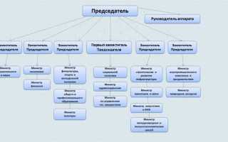 Какие функции осуществляет правительство рф