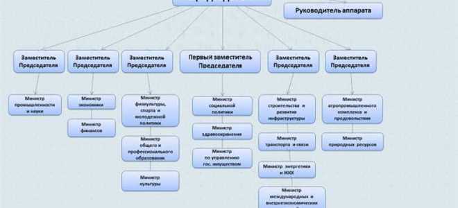 Какие функции осуществляет правительство рф