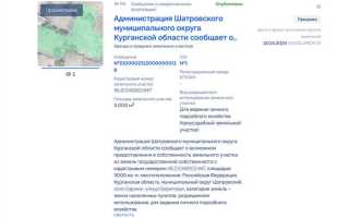 Торги без объявления цены что это