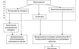 Почему не назначают председателя счетной палаты рф