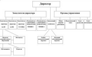 Что такое структурное подразделение организации