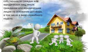 Оперативное управление и безвозмездное пользование в чем разница