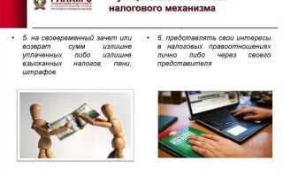 Где установлены права и обязанности налогоплательщиков