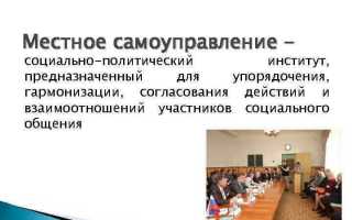 Органы местного самоуправления как социальный институт 2022