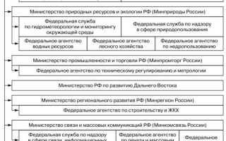 Кто возглавляет исполнительную власть в рф