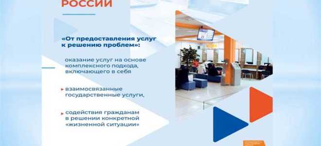 Создание служб занятости населения какая сфера