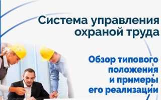 Что такое система управления охраной труда