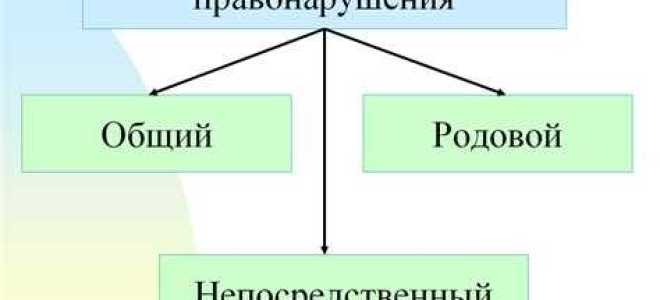 Что является примером административного правонарушения