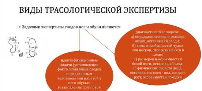 Какой вид экспертизы повторная или дополнительная поручается только другому эксперту