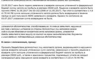 Как подать в суд на налоговую инспекцию физическому лицу