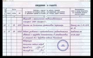 До какого числа можно перевестись в другой вуз