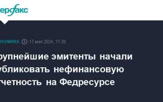 Кто должен публиковать бухгалтерскую отчетность на федресурсе