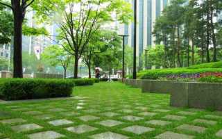 Что относится к зеленым насаждениям