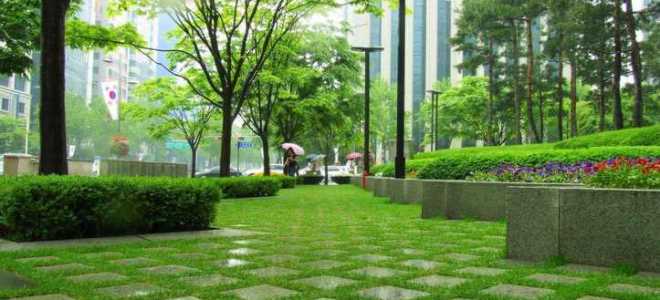 Что относится к зеленым насаждениям