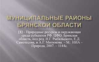 Муниципальный район это что пример