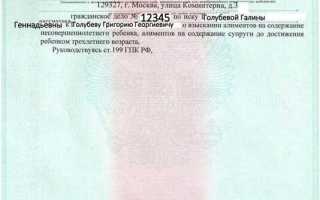 Если пришел исполнительный лист на работу что можно сделать