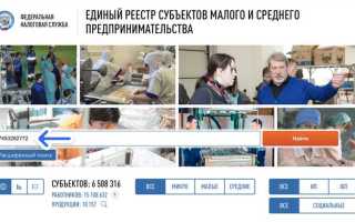 Реестр мсп что это такое