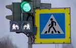Светофор белого цвета для кого