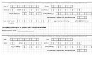 Ефс 1 раздел 2 кто сдает отчетность