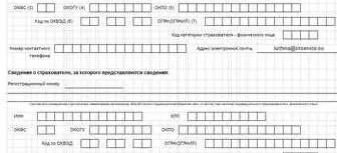 Ефс 1 раздел 2 кто сдает отчетность