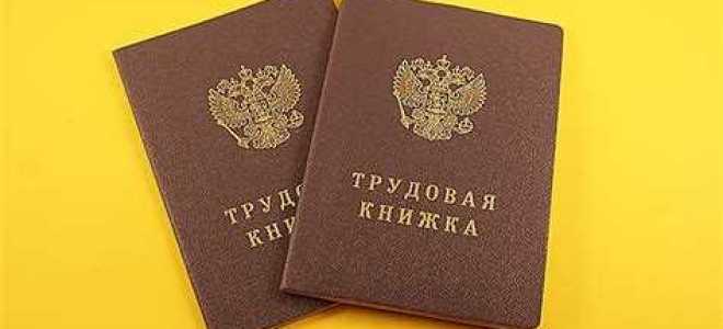 Кто должен сдавать сзв тд